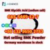 Safe delivery BMK Powder CAS 5449-12-7 BMK Glycidic Acid (sodium salt)