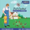 Pest control services for factory, in doha qatar