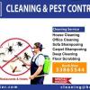 Professional deep cleaning service for office & house in Qatar