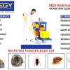 Rat control services for residences in doha qatar