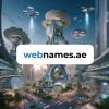 WebNames - Premium .ae Domains